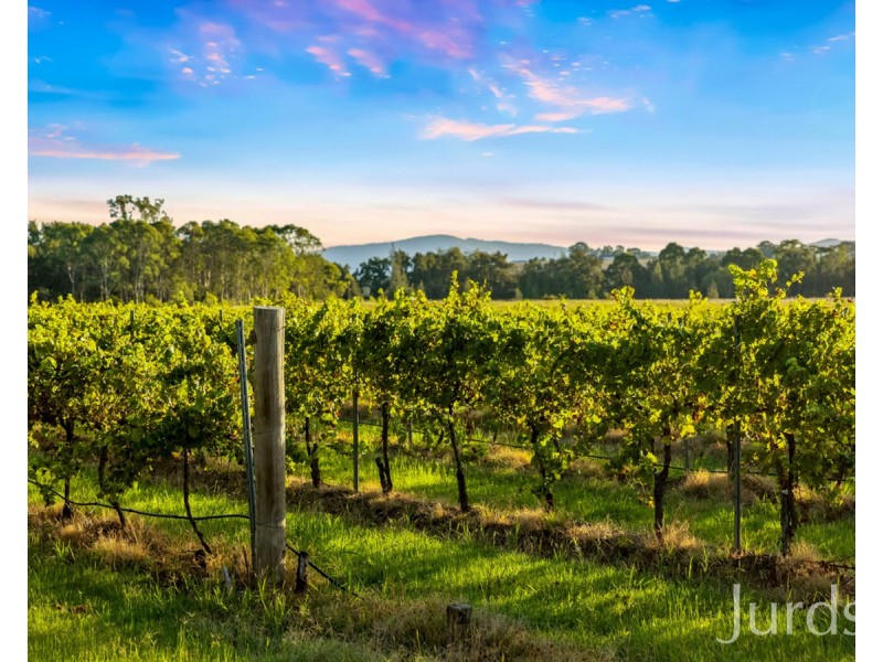 379 Wilderness Road, Lovedale NSW 2325