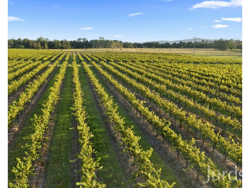 379 Wilderness Road, Lovedale NSW 2325