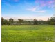 379 Wilderness Road, Lovedale NSW 2325