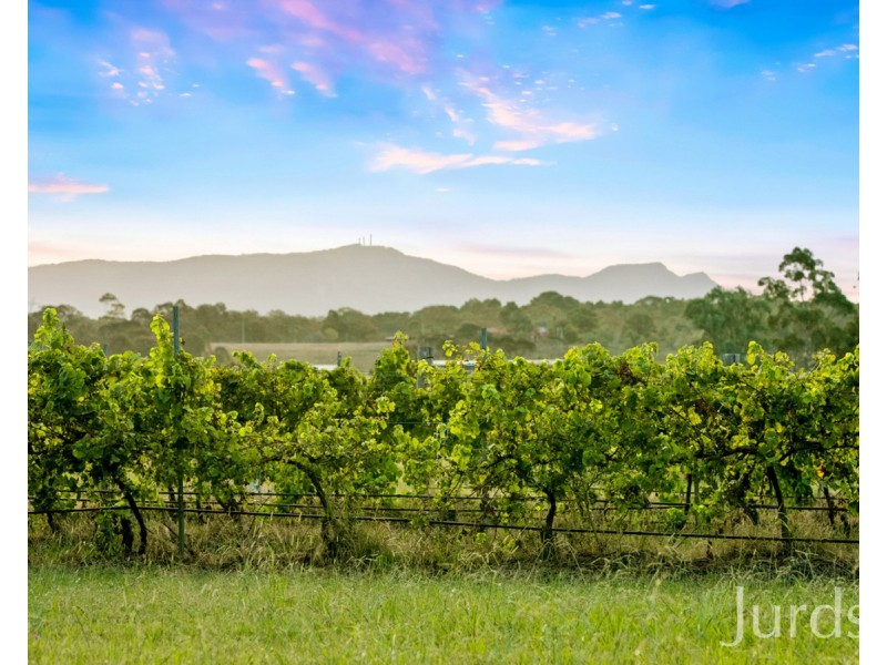 379 Wilderness Road, Lovedale NSW 2325