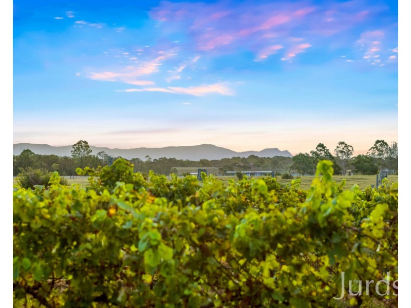 379 Wilderness Road, Lovedale NSW 2325