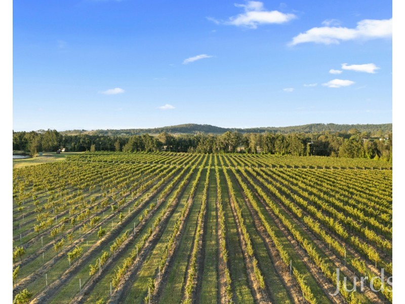 379 Wilderness Road, Lovedale NSW 2325