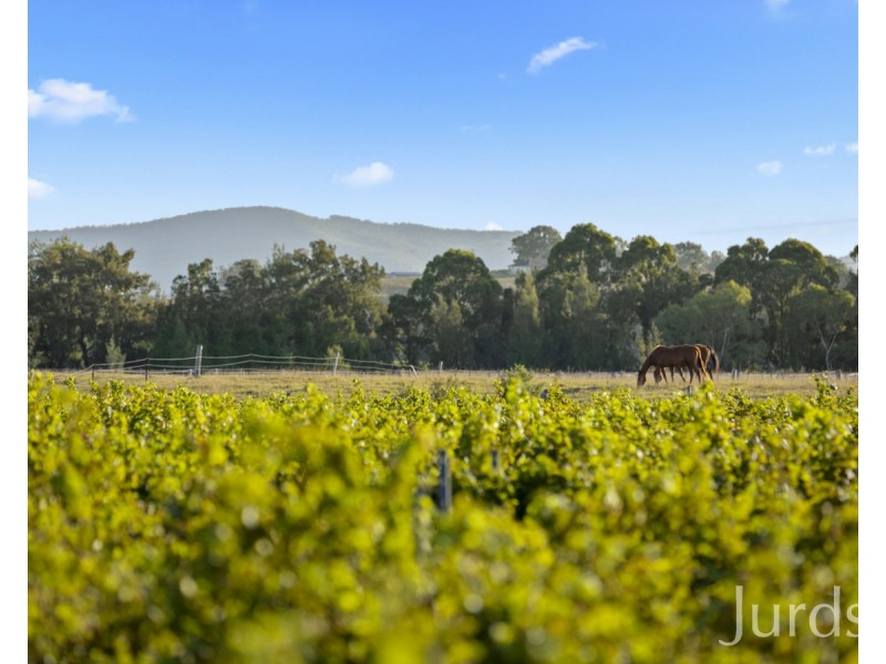 379 Wilderness Road, Lovedale NSW 2325