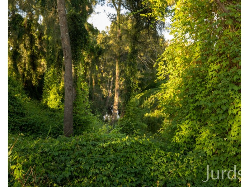 379 Wilderness Road, Lovedale NSW 2325