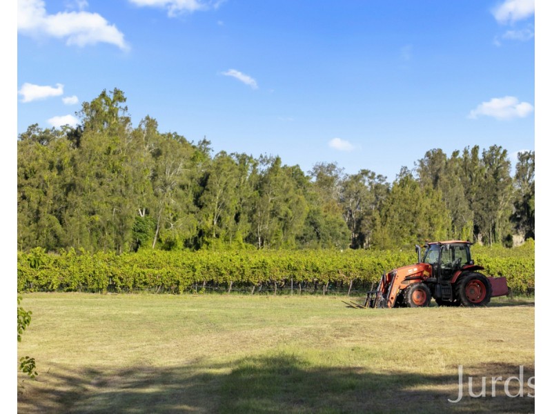 379 Wilderness Road, Lovedale NSW 2325