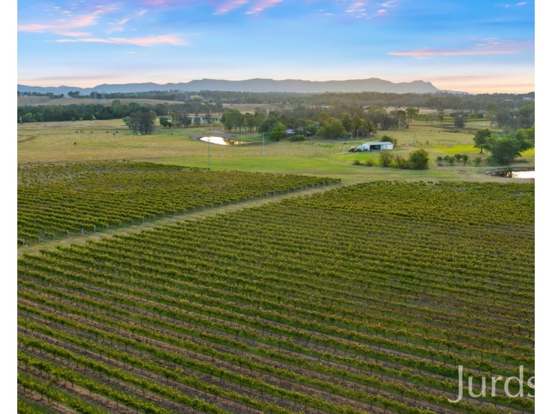 379 Wilderness Road, Lovedale NSW 2325