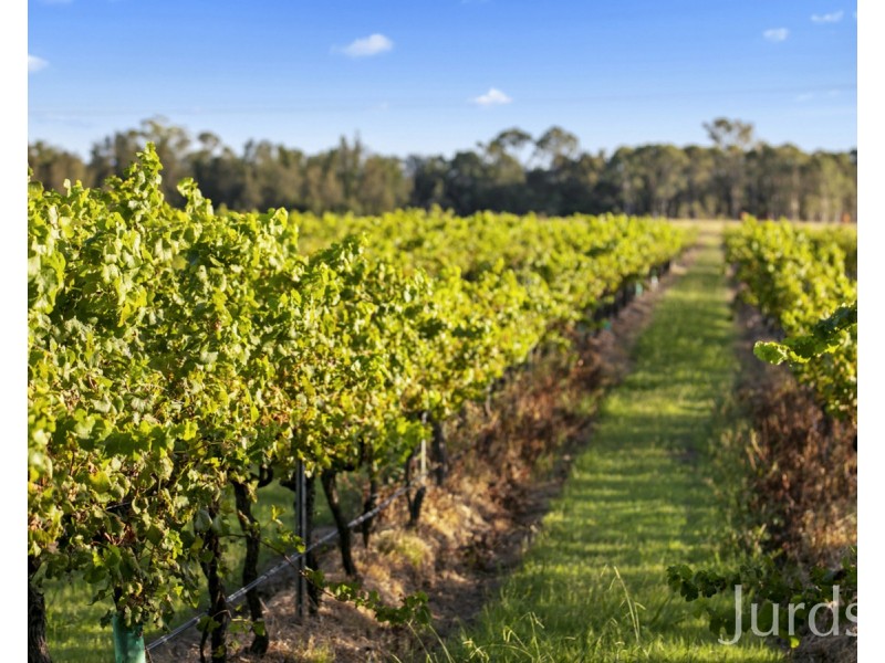 379 Wilderness Road, Lovedale NSW 2325