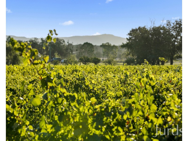 379 Wilderness Road, Lovedale NSW 2325