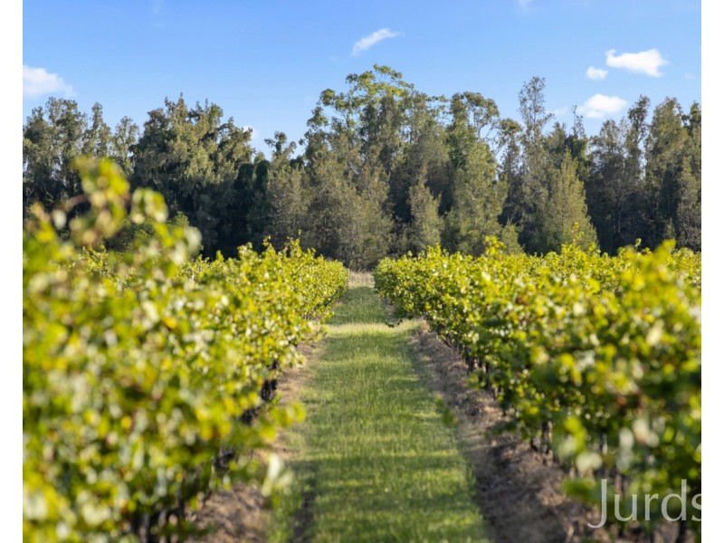 379 Wilderness Road, Lovedale NSW 2325