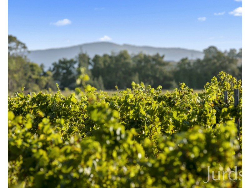 379 Wilderness Road, Lovedale NSW 2325