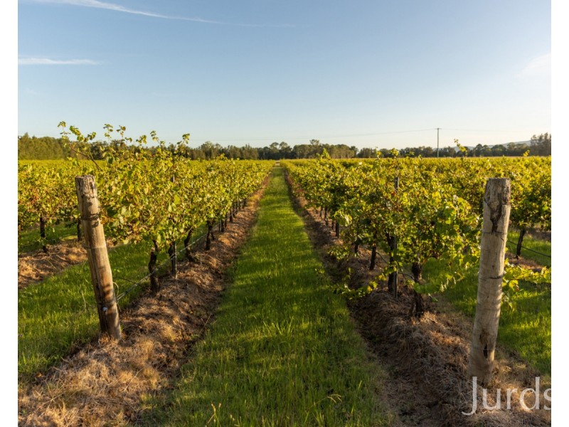 379 Wilderness Road, Lovedale NSW 2325