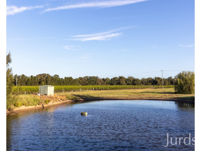 379 Wilderness Road, Lovedale NSW 2325