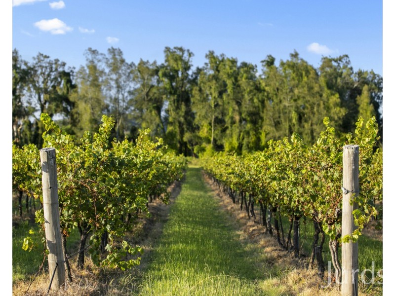 379 Wilderness Road, Lovedale NSW 2325