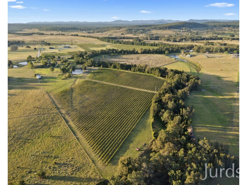 379 Wilderness Road, Lovedale NSW 2325