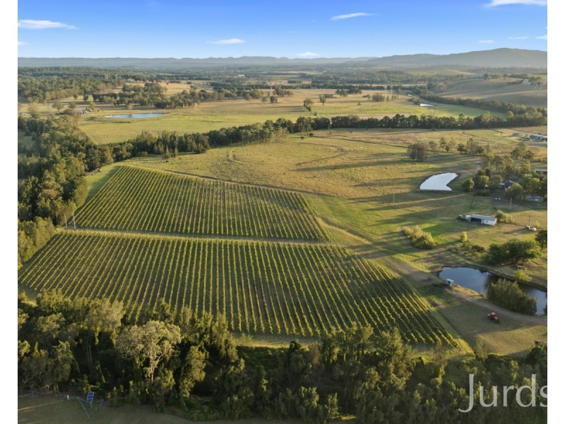 379 Wilderness Road, Lovedale NSW 2325