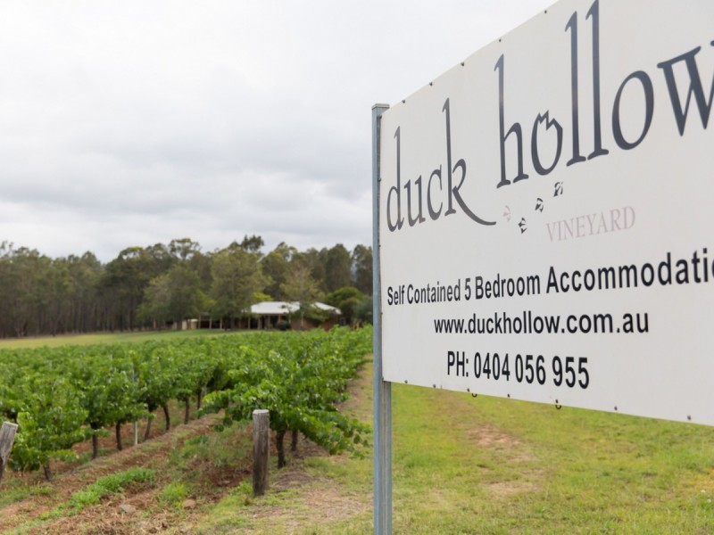 266 Deasys Road, Pokolbin NSW 2320