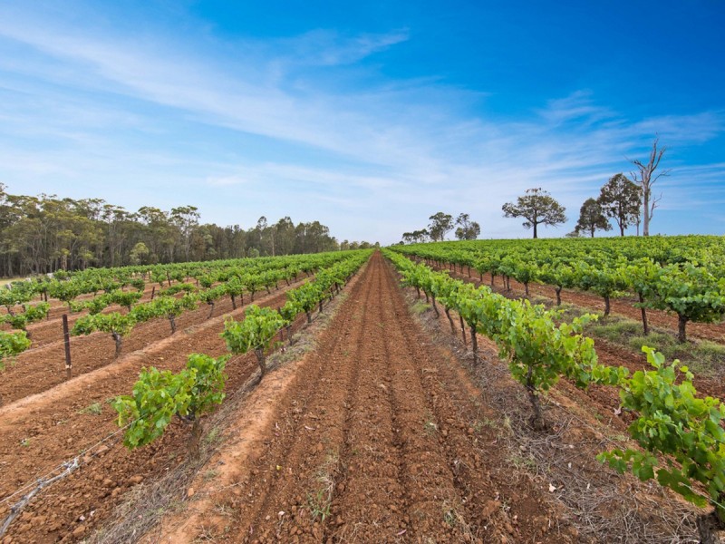 266 Deasys Road, Pokolbin NSW 2320