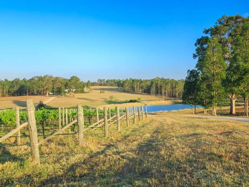 62 Squire Close, Pokolbin NSW 2320