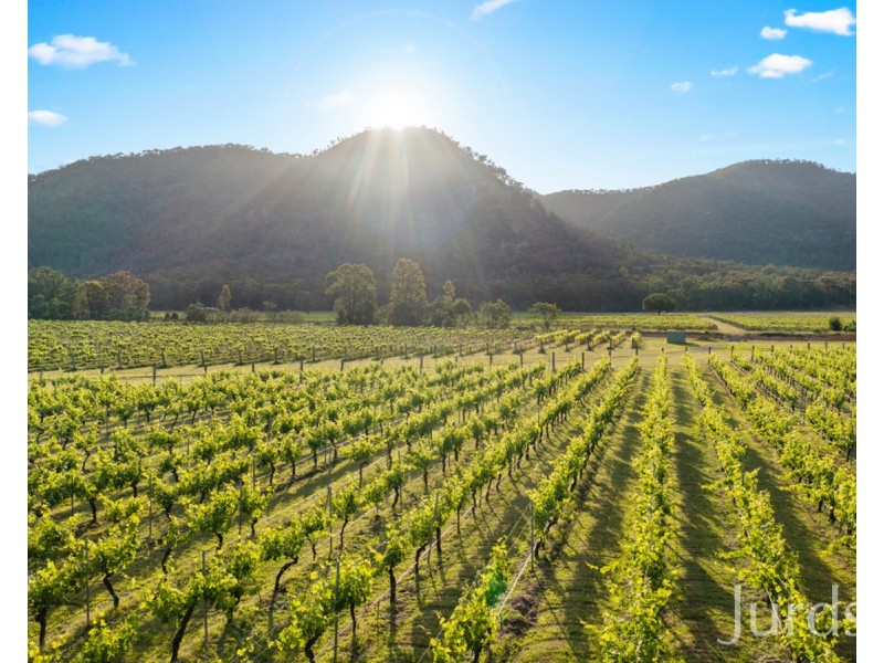 388 Milbrodale Road, Fordwich NSW 2330