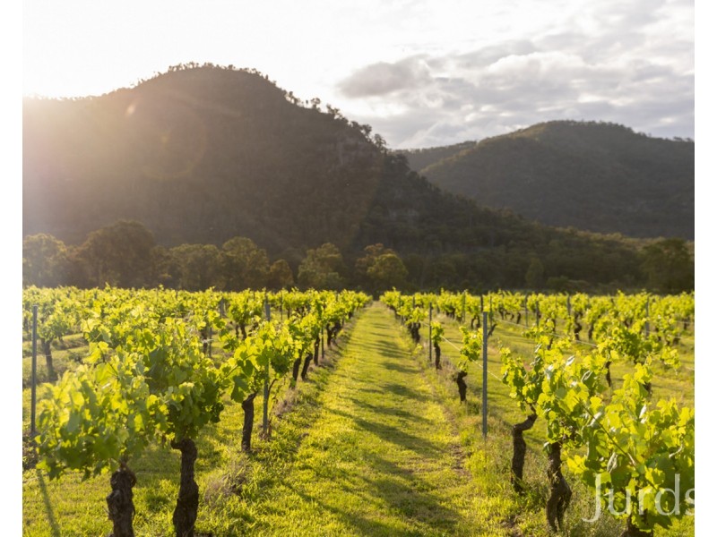 388 Milbrodale Road, Fordwich NSW 2330