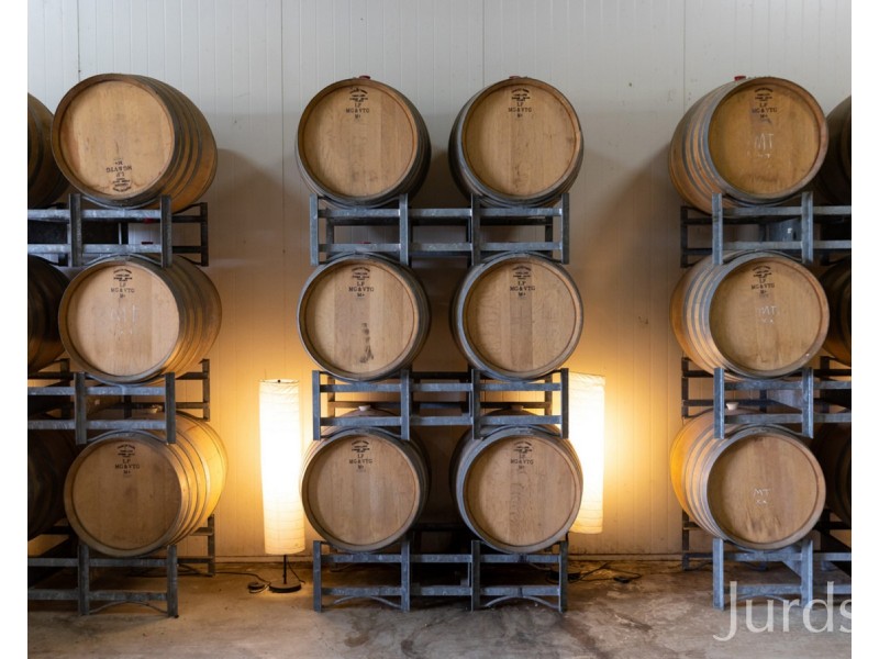 390 Milbrodale Road, Fordwich NSW 2330