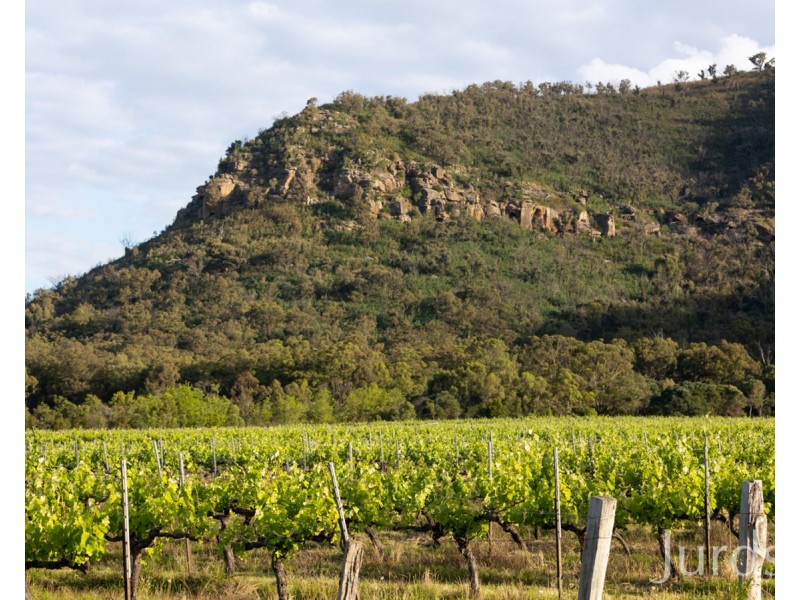 390 Milbrodale Road, Fordwich NSW 2330