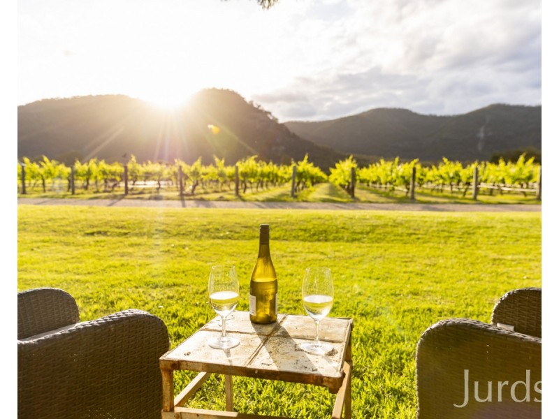 390 Milbrodale Road, Fordwich NSW 2330