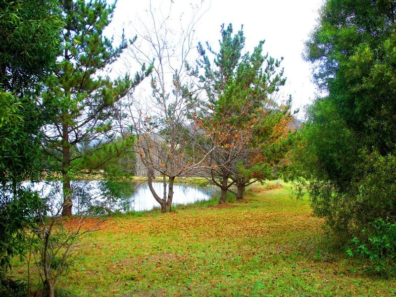 738 Wollombi Road, Broke NSW 2330