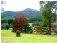 738 Wollombi Road, Broke NSW 2330