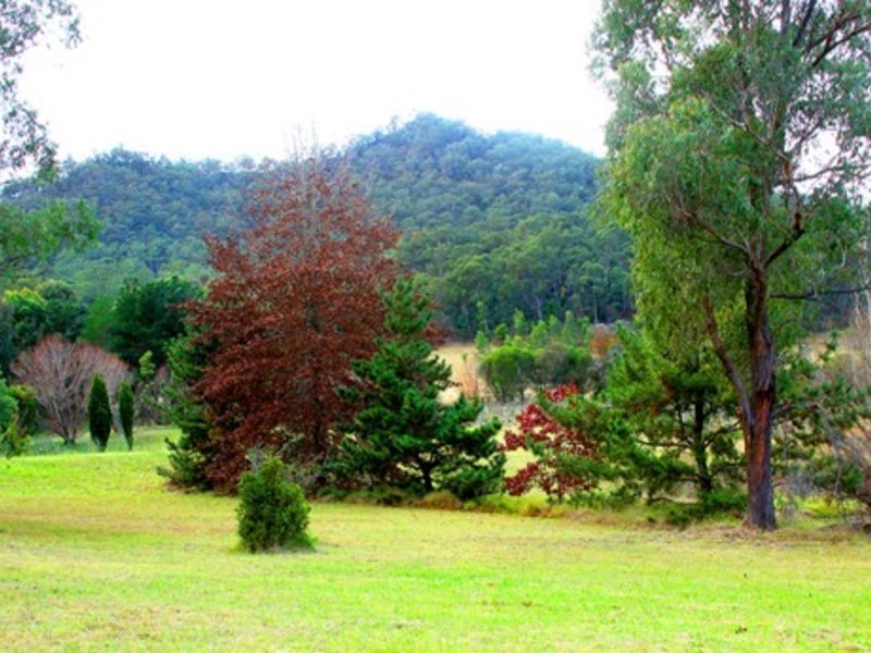 738 Wollombi Road, Broke NSW 2330