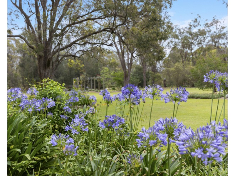 745 Lovedale Road, Lovedale NSW 2325