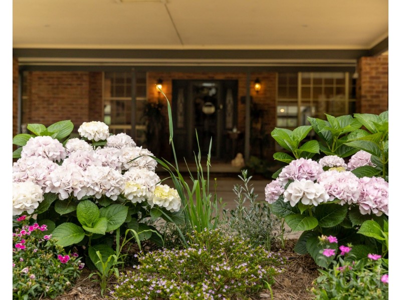 745 Lovedale Road, Lovedale NSW 2325