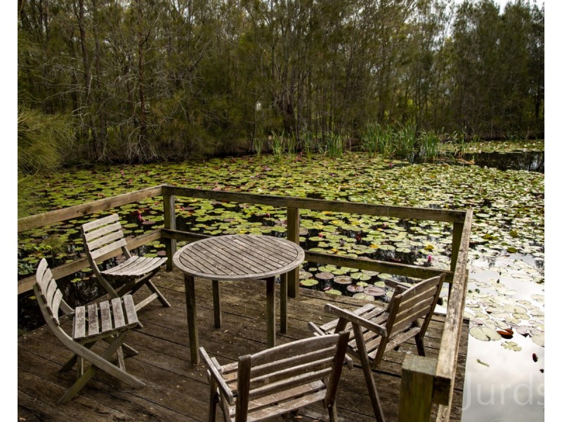 745 Lovedale Road, Lovedale NSW 2325