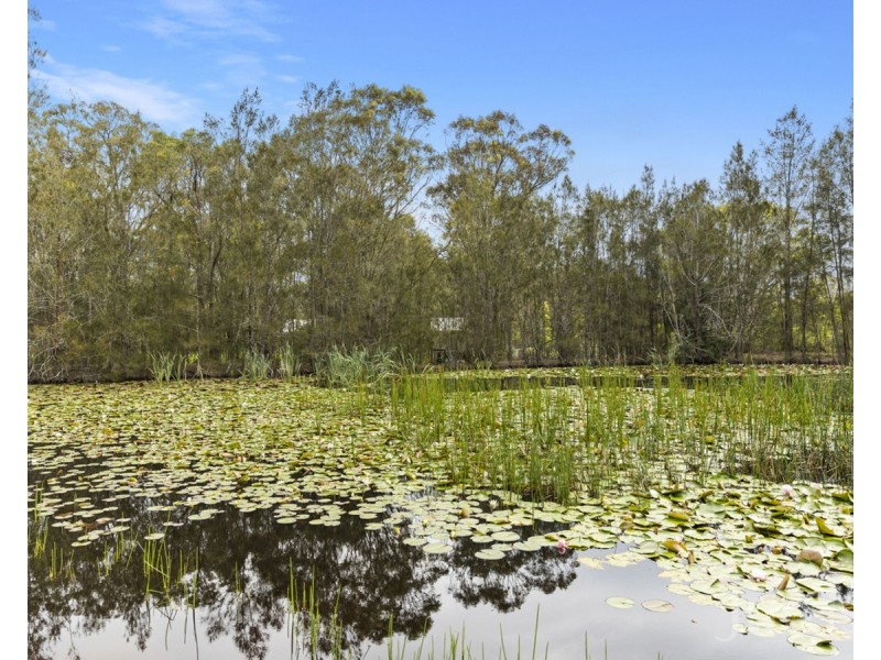 745 Lovedale Road, Lovedale NSW 2325