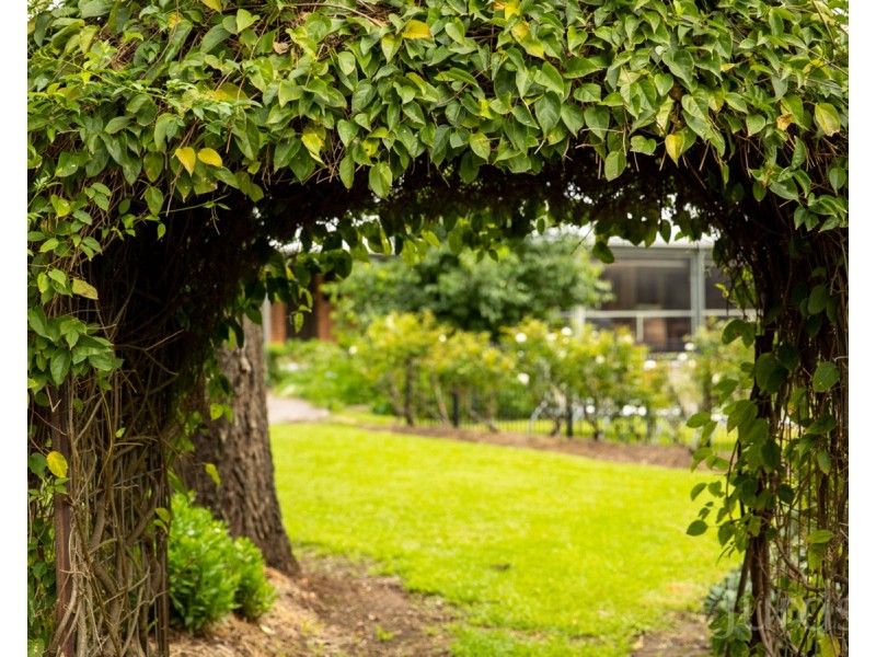 745 Lovedale Road, Lovedale NSW 2325