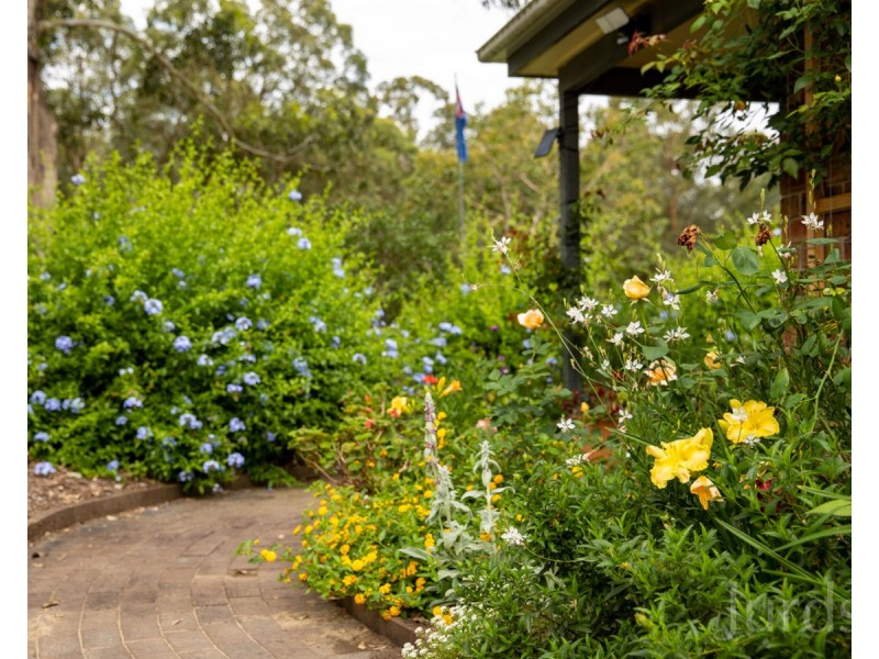 745 Lovedale Road, Lovedale NSW 2325