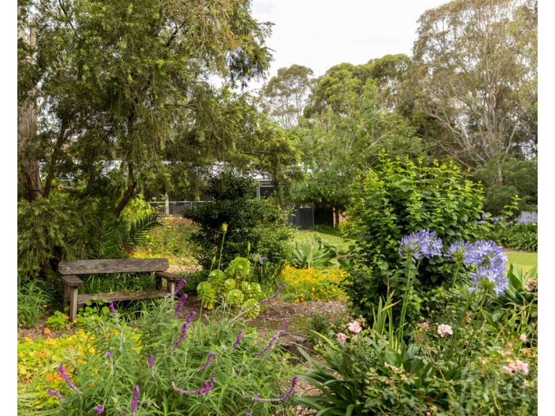 745 Lovedale Road, Lovedale NSW 2325