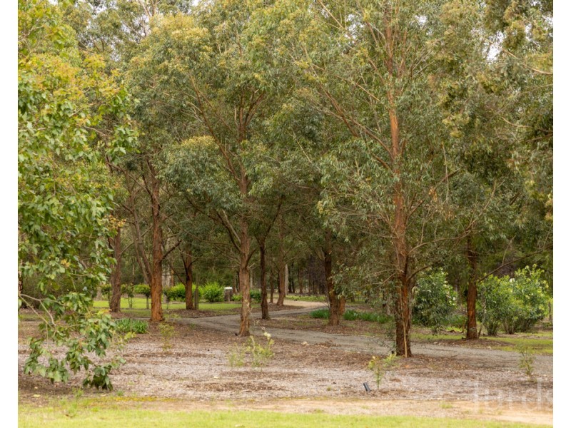 745 Lovedale Road, Lovedale NSW 2325