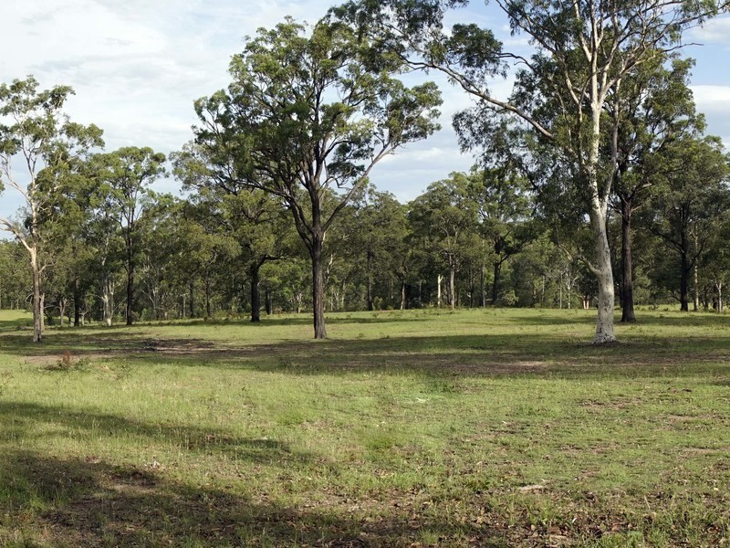 1519 Old Maitland Road, Sawyers Gully NSW 2326