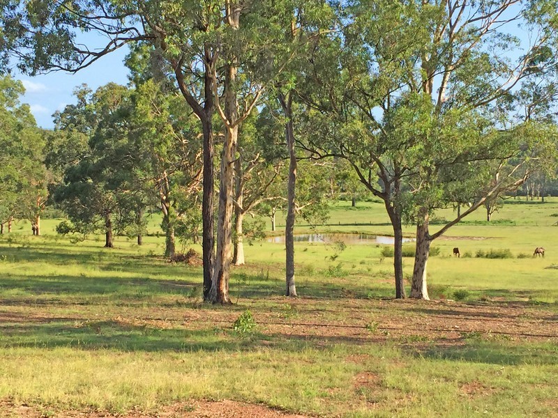 1519 Old Maitland Road, Sawyers Gully NSW 2326