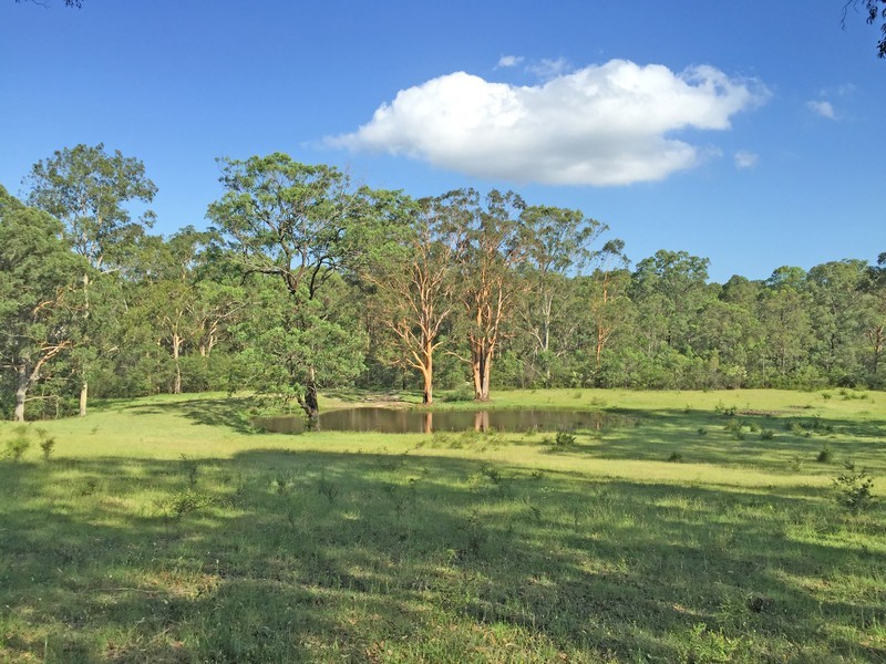 1519 Old Maitland Road, Sawyers Gully NSW 2326