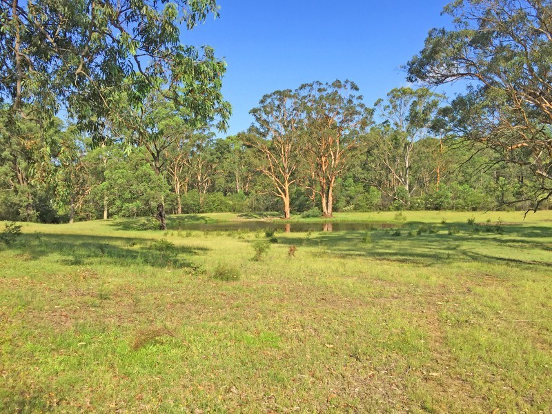 1519 Old Maitland Road, Sawyers Gully NSW 2326
