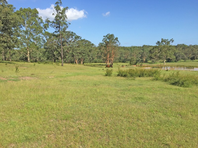 1519 Old Maitland Road, Sawyers Gully NSW 2326