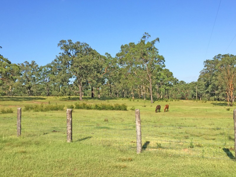 1519 Old Maitland Road, Sawyers Gully NSW 2326