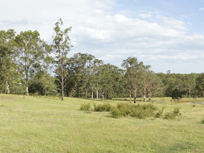 1519 Old Maitland Road, Sawyers Gully NSW 2326