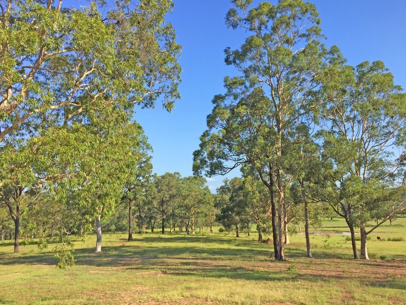 1519 Old Maitland Road, Sawyers Gully NSW 2326