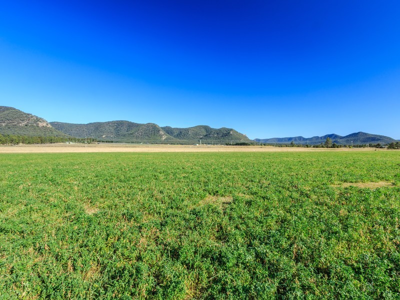 4/ Milbrodale Road, Broke NSW 2330