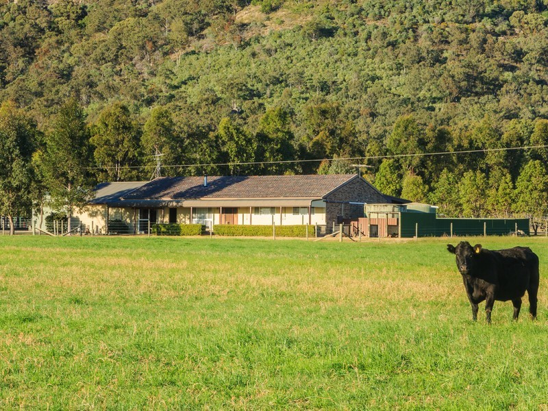 4/ Milbrodale Road, Broke NSW 2330