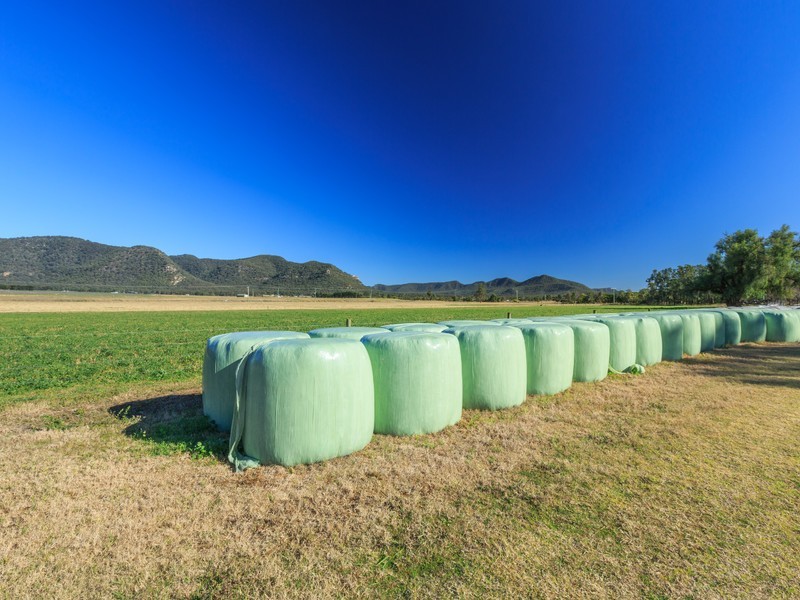 4/ Milbrodale Road, Broke NSW 2330