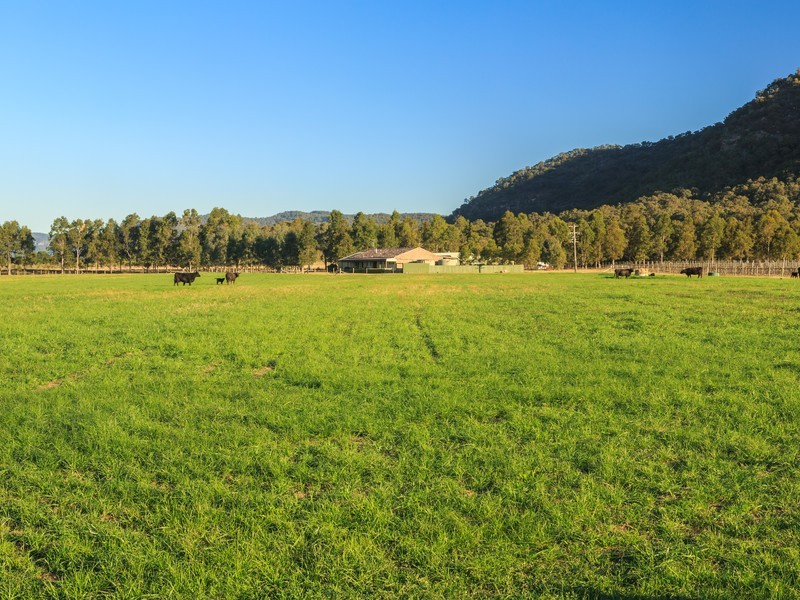 4/ Milbrodale Road, Broke NSW 2330